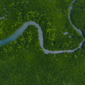 Environment Expertise spotlight