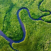 299708626_Daintree River