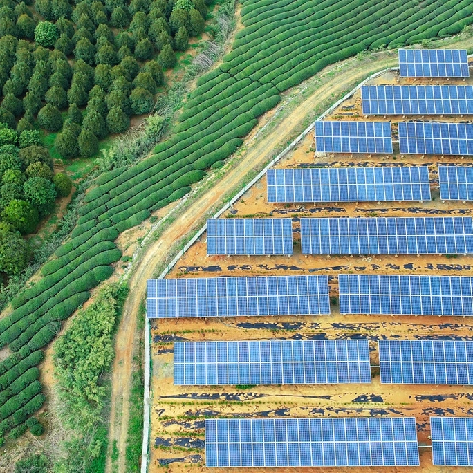 Crossroads_Image_Kiersten Bell banner - article insight.jpg