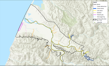 Carte expliquant la répartition de diverses espèces aquatiques dans l’ensemble de la rivière Eel