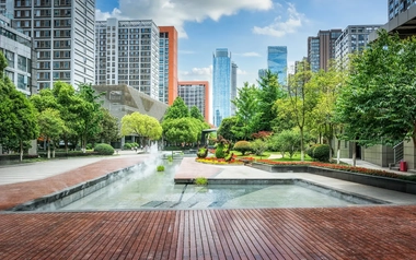 A green park within the city