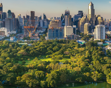 COP29: Actualising sustainability for a green world