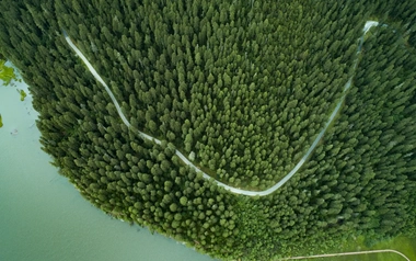 Aerial view of a road through the green forest