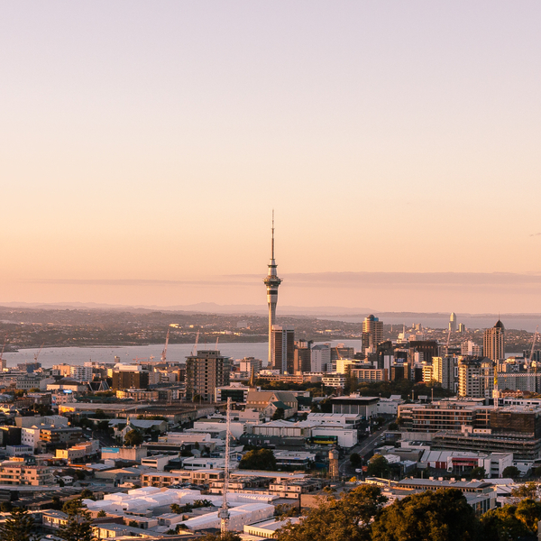 Auckland Skyline