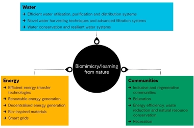 Biomimicry graphic harness.jpg