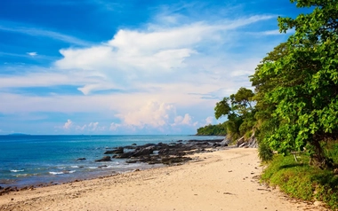 White sand beach surrounded by trees