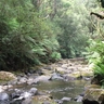 DSCF0185.jpg