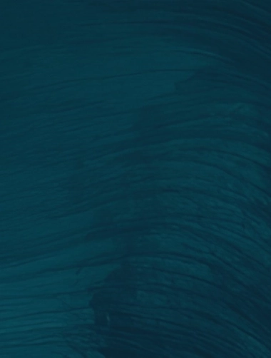 High resolution - Maori Business Services Banner - final.jpg