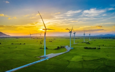 wind farm