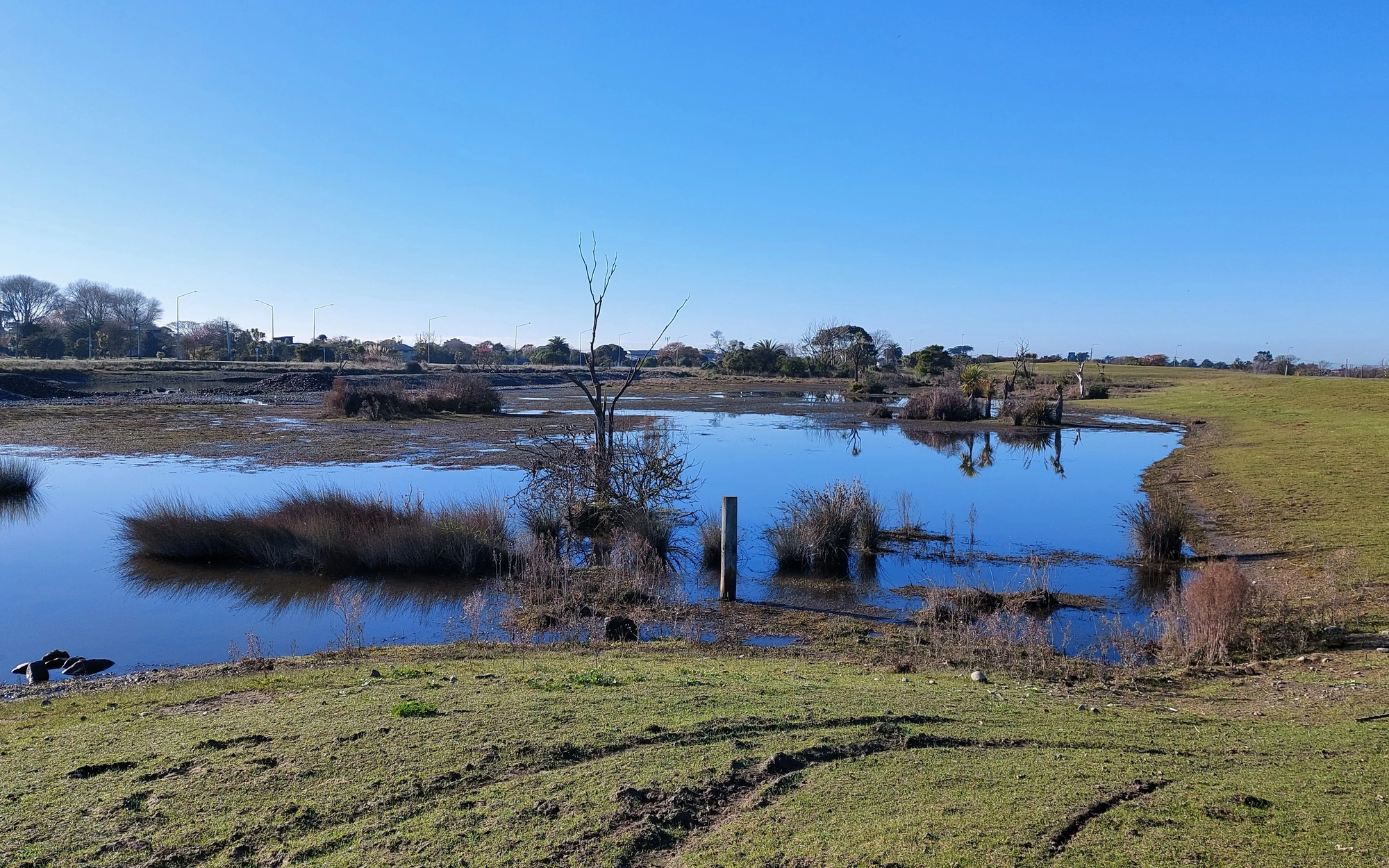  Wetland with shallow water pools and grass under clear sky