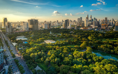 City and Park View