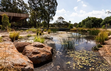 Bendigo Botanic Gardens outdoor pond
