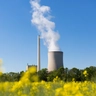 Coal-fired power plant with cooling tower and rapeseed in the foreground