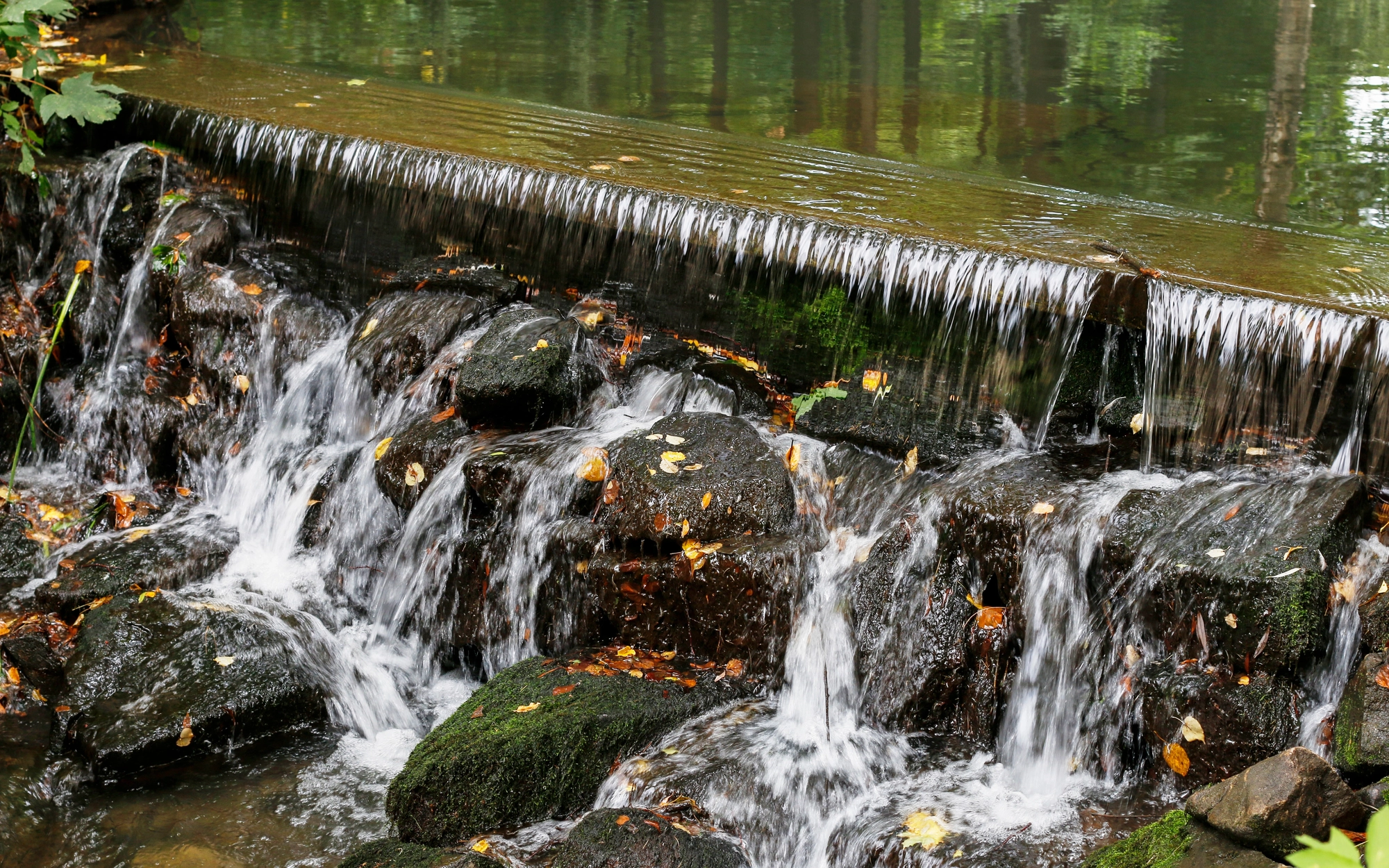 Small waterfall flowing over rocks in a forest stream