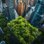 Greenery on top of building