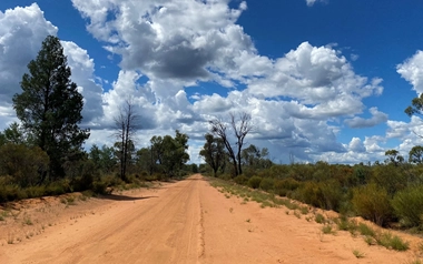 Pilliga Forest Way.jpg