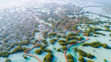 Jubail Mangrove Park