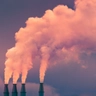 Plant-Smoke_307031650