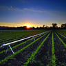 agricultural irrigation sprinkler