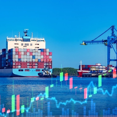 Port Investment Strategies to Financial Uncertainty