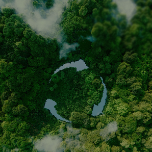 Environment Natural Resources spotlight | Expertise Spotlight