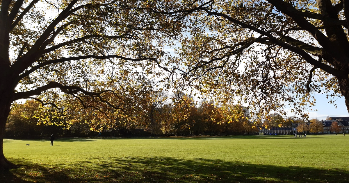Cambridge UK_.jpg