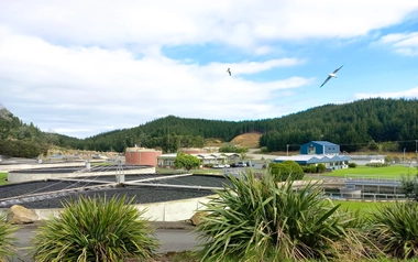 Whangarei WWTP