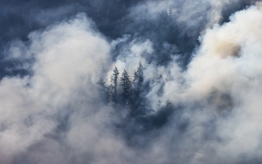 Wildfire resilience