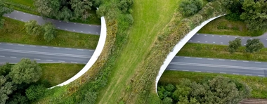 450588002_Ecoduct_greenery_bridge