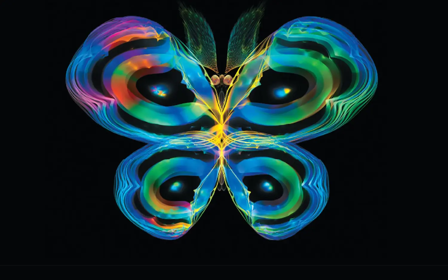 digital illustration of a butterfly