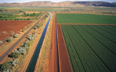 Crops under irrigation at Kununurra on the Ord river Western Australia