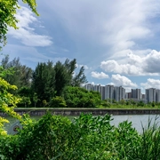 City buildings in the distance behind a river and dense greenery