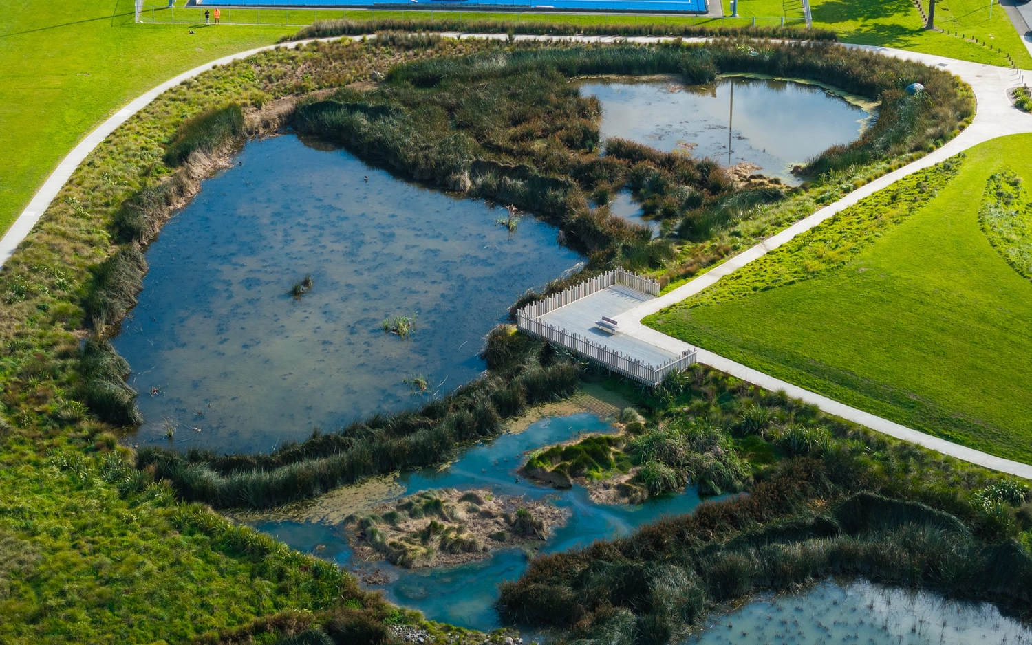 Porirua Wetland 07