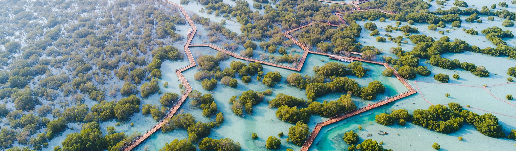 Jubail Mangrove park