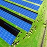 Solar Farm