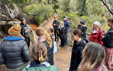 People gather on a bush track.