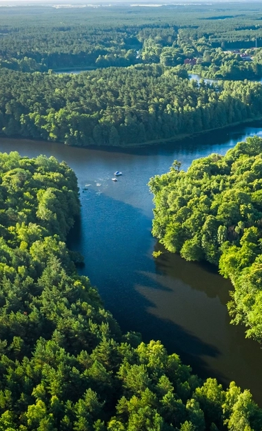 AdobeStock_397426839_Cop28-Content-Hub_river with trees.jpeg