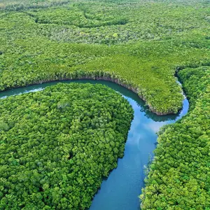 Aerial View Winding River