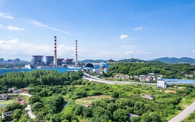 Thermal power plant chimney