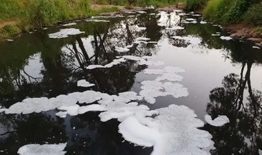 Foam at Byrong Creek NSW