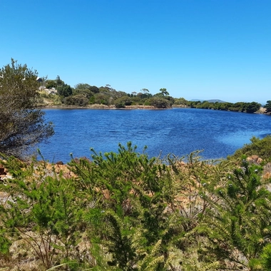 Albany Waterfront