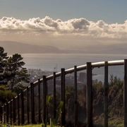 Fence View Photo Credit Hayley May.jpg