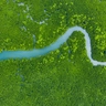 AdobeStock_296528598Aerial view mangrove jungles in Thailand_ River mangrove green tree forest top view_ trees_ river (1).jpg