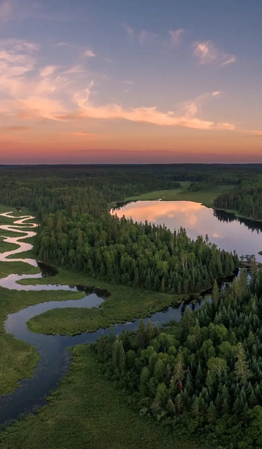 Aerial view of a Forest in Canada Ontario