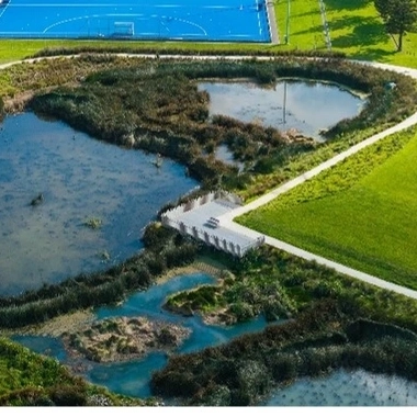 Aotearoa New Zealand.jpg
