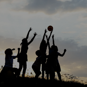 Environment International development assistance | expertise spotlight