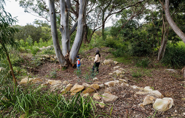 Jackson Place Remediation - Gallery Landscape