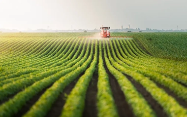 tractor sprinkler in a field of barley