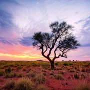 Water management in the Pilbara.jpeg