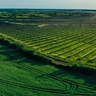 AdobeStock_506400280_large_solar_farm.jpeg